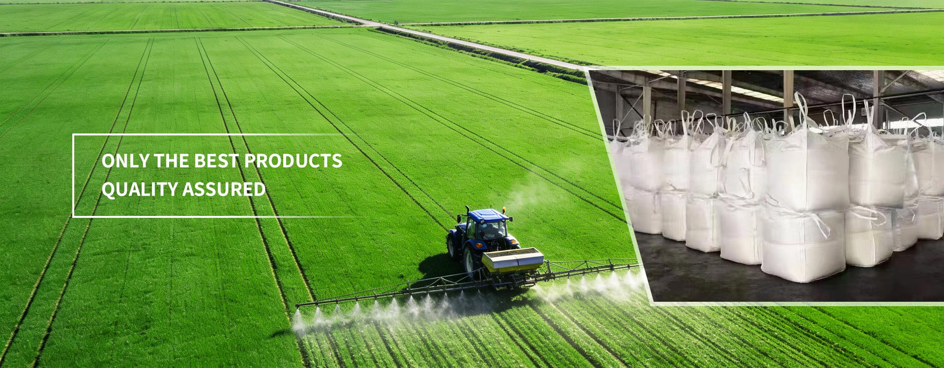 Quality Assured Only The Best Products